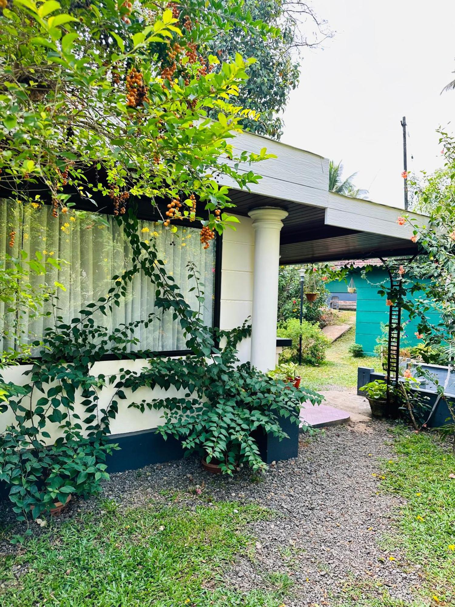 Thoppil Homestay Munnar Zewnętrze zdjęcie