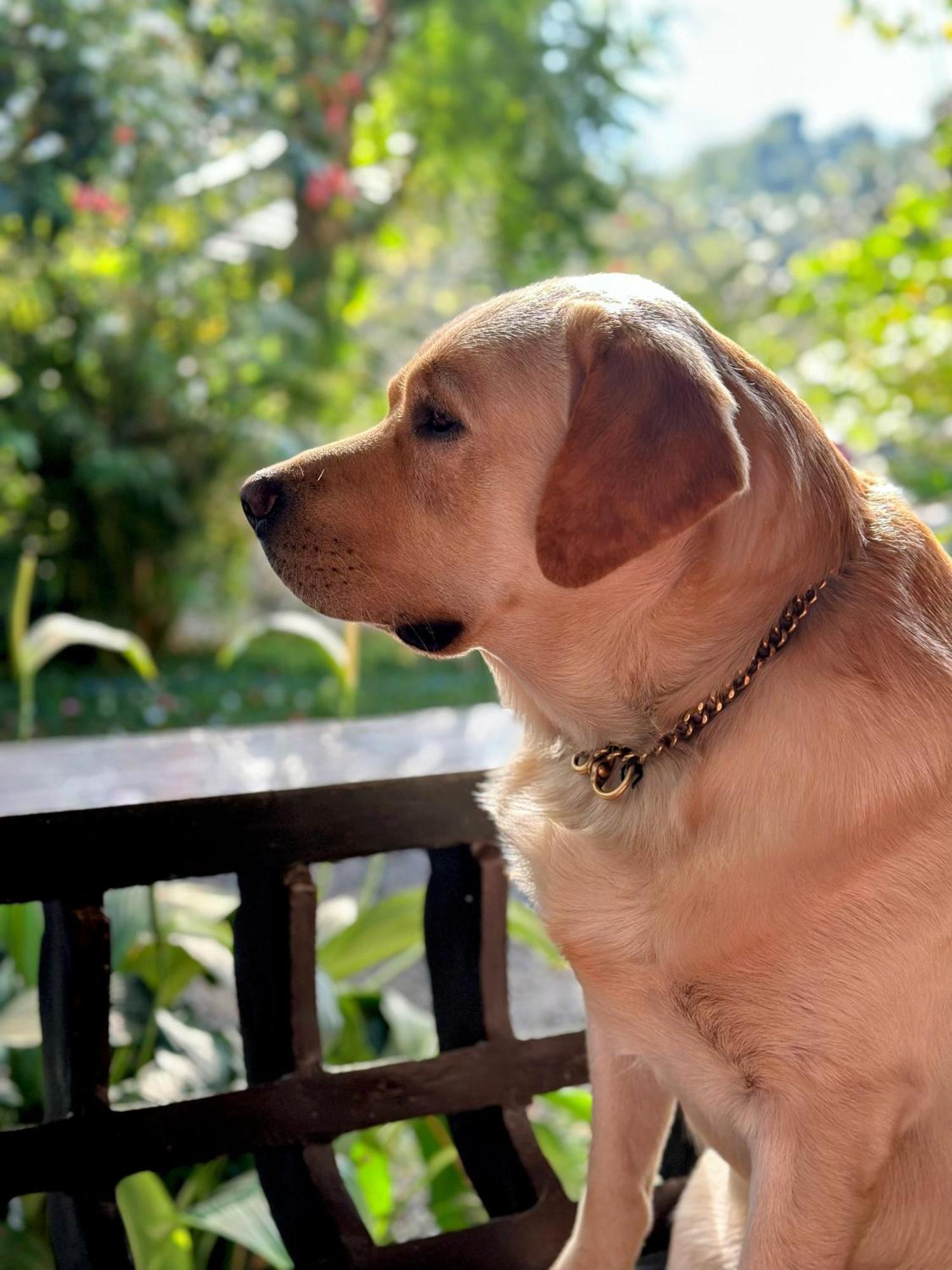 Thoppil Homestay Munnar Zewnętrze zdjęcie