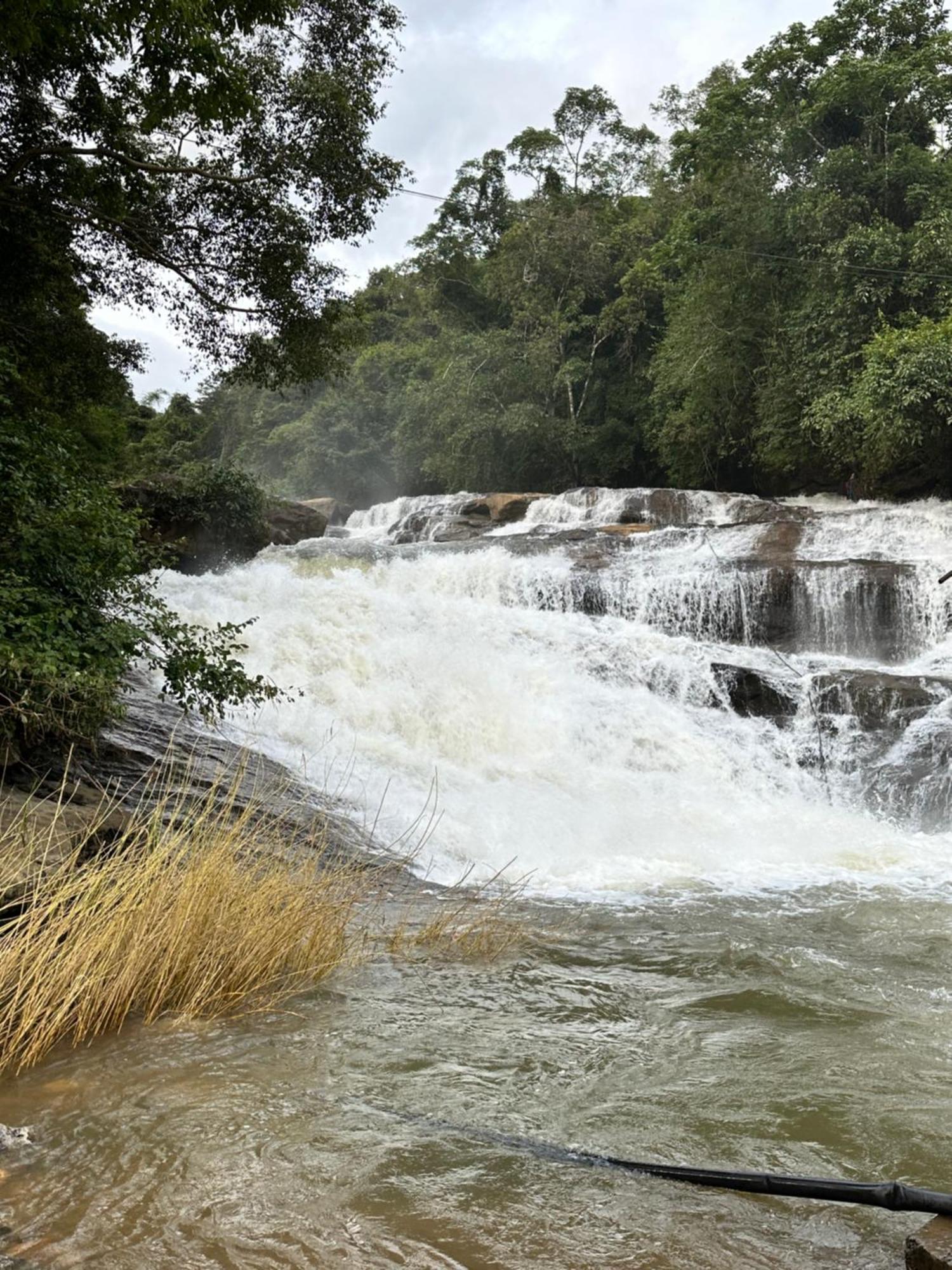 Thoppil Homestay Munnar Zewnętrze zdjęcie