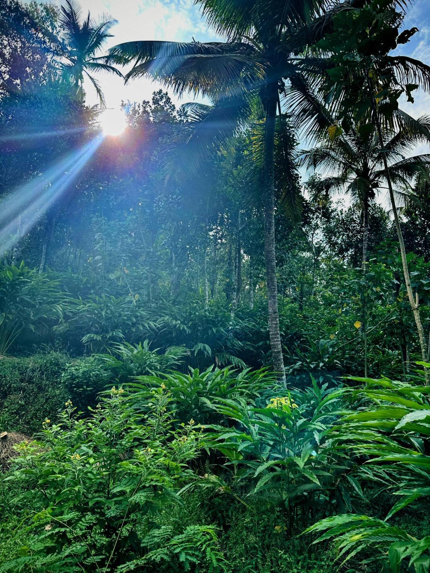 Thoppil Homestay Munnar Zewnętrze zdjęcie
