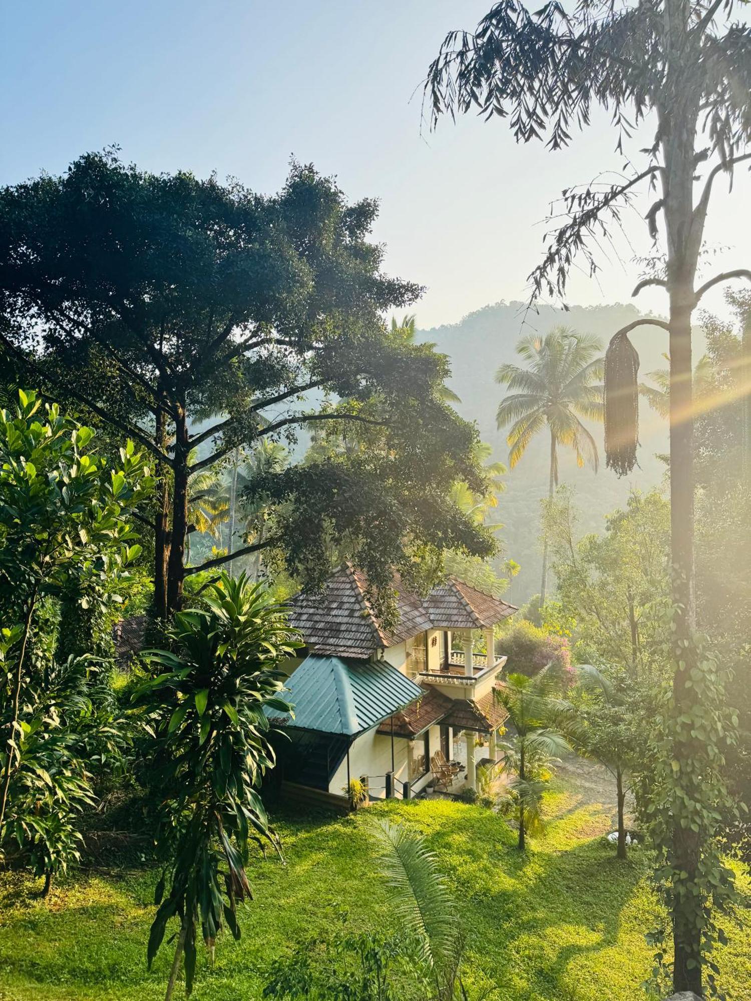 Thoppil Homestay Munnar Zewnętrze zdjęcie