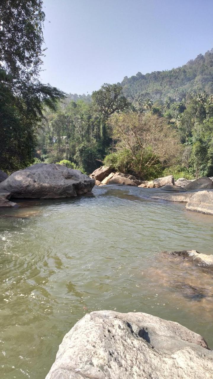 Thoppil Homestay Munnar Zewnętrze zdjęcie